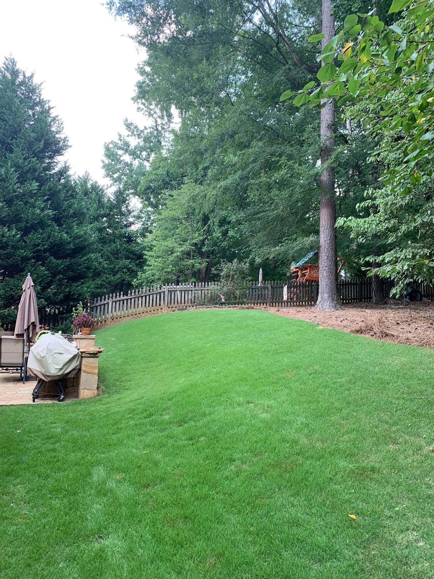 Briarwood Turf Care treated lawn