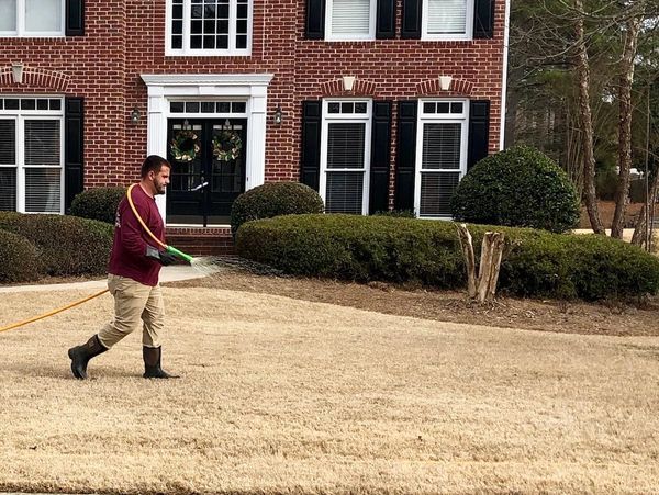 Beautiful healthy Georgia lawn