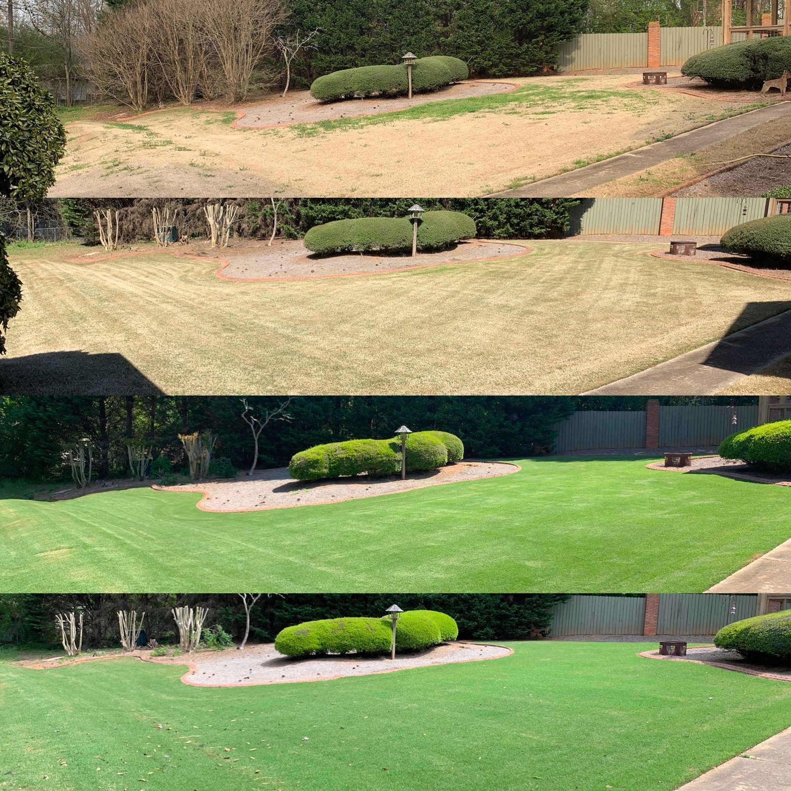 Before and after lawn transformation — Briarwood Turf Care
