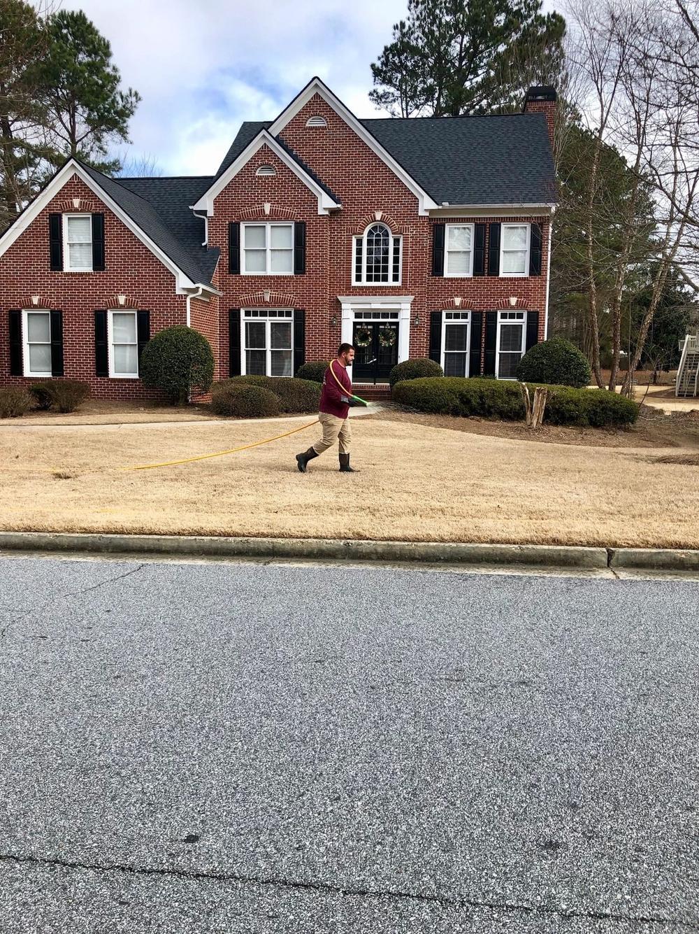 Healthy lawn after fertilization treatment
