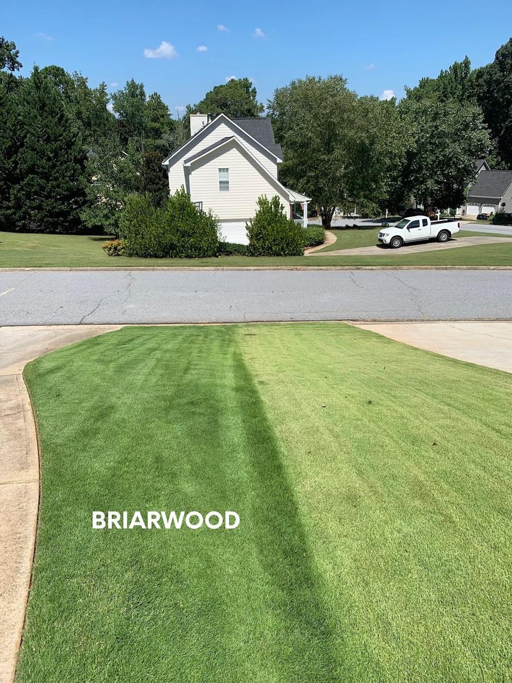 Turf care result — Briarwood Turf Care