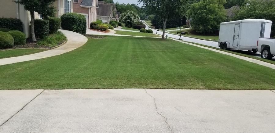 Disease Control — Briarwood Turf Care