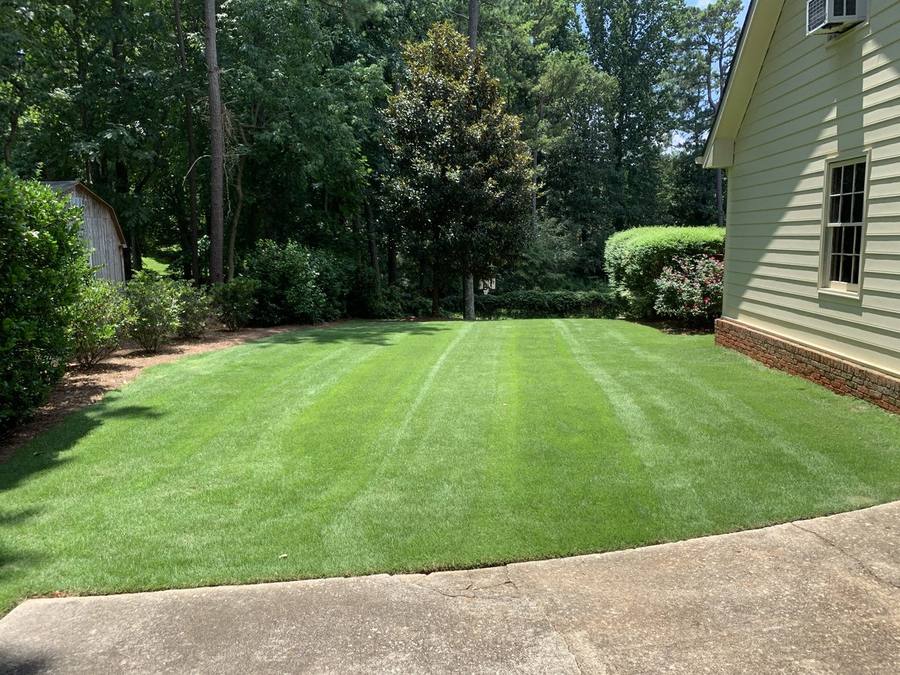 Insect Control — Briarwood Turf Care