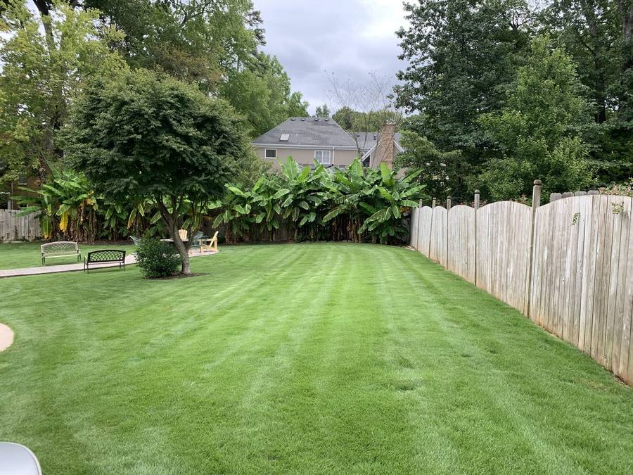 Overseeding — Briarwood Turf Care